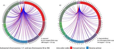 Development of a rapid and highly sensitive nucleic acid-based diagnostic test for schistosomes, leveraging on identical multi-repeat sequences